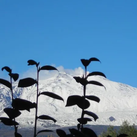 Casansaldo Giarre